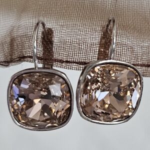 Chic Silver and Brown Crystal Earrings